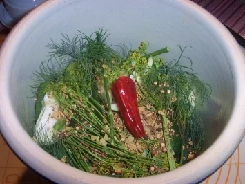 Gurken süß-sauer eingelegt - Rezept - Bild Nr. 3