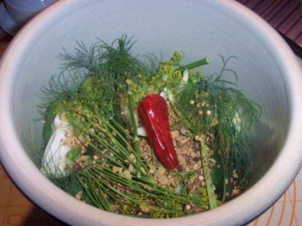 Gurken süß-sauer eingelegt - einfach - 14 kcal/100g