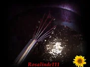 Holunder-Ananas-Marmelade - Rezept