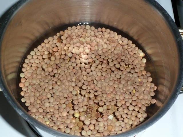 Rezept: Linsenfrikadellen in Joghurt und Minze Bild Nr. 3 Linsenfrikadellen in Joghurt und Minze - Rezept - Bild Nr. 3