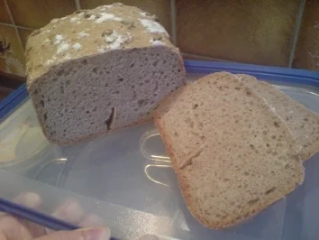Brot - Mischbrot mit Kernen für den BBA - Rezept