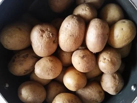 Brandenburger Kartoffelsalat - Rezept - Bild Nr. 2