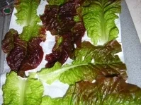 Rezept: Hähnchenkeule in roter Samtkorsage an Bratkartoffelspalten Bild Nr. 5 Hähnchenkeule in roter Samtkorsage an Bratkartoffelspalten - Rezept - Bild Nr. 5