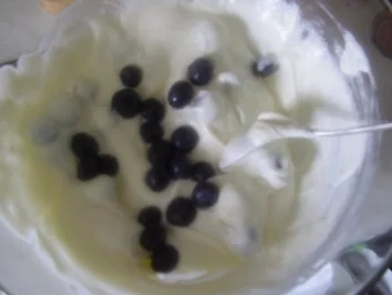 Rezept: Quark-Joghurt-Speise mit Heidelbeeren Bild Nr. 2 Quark-Joghurt-Speise mit Heidelbeeren - Rezept - Bild Nr. 2