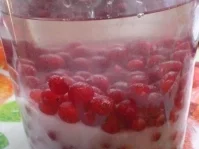 Rezept: Johannisbeerlikör Bild Nr. 9 Johannisbeerlikör - Rezept - Bild Nr. 9