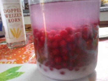 Rezept: Johannisbeerlikör Bild Nr. 10 Johannisbeerlikör - Rezept - Bild Nr. 10