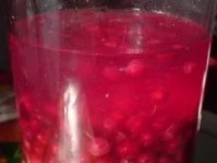 Rezept: Johannisbeerlikör Bild Nr. 13 Johannisbeerlikör - Rezept - Bild Nr. 13