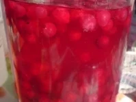Rezept: Johannisbeerlikör Bild Nr. 15 Johannisbeerlikör - Rezept - Bild Nr. 15