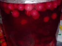 Rezept: Johannisbeerlikör Bild Nr. 16 Johannisbeerlikör - Rezept - Bild Nr. 16