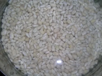 Rezept: Bohnen-Tomatentopf mit Lamm (grieschich angehaucht) (mein letztes Gericht vor der Abwesenheit) Bohnen-Tomatentopf mit Lamm (grieschich angehaucht) (mein letztes Gericht vor der Abwesenheit) - Rezept