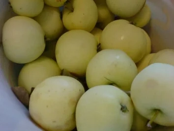 Apfelmus - Rezept - Bild Nr. 4