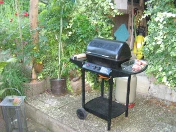 Rezept: Puten - Gemüse - Spieße Bild Nr. 6 Puten - Gemüse - Spieße - Rezept - Bild Nr. 6