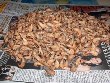 Fröschels Krabbensüppchen - Rezept