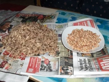 Fröschels Krabbensüppchen - Rezept - Bild Nr. 2