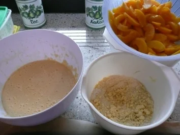 Rezept: Saftige Pfirsichschnitten mit Streusel Bild Nr. 6 Saftige Pfirsichschnitten mit Streusel - Rezept - Bild Nr. 6