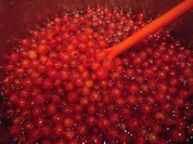 Johannisbeer-Holunder-Gelee - Rezept