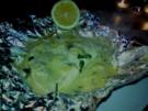 gegrillter Victoriaseebarsch mit Senfsauce in Alufolie - Rezept