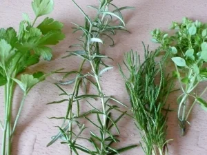 Antipasti : Biggis gegrilltes,eingelegtes Gemüse - Rezept - Bild Nr. 6