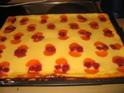 Backwaren: Lieblingskuchen meiner Söhne - Rezept