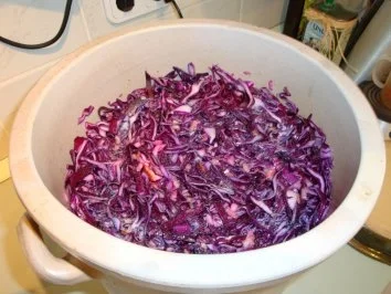 Rotkohl - Rezept - Bild Nr. 3