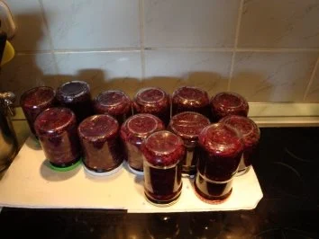 Rotkohl - Rezept - Bild Nr. 11