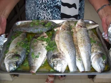 Fisch-Dorade gegrillt - Rezept