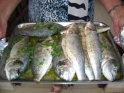 Fisch-Dorade gegrillt - Rezept