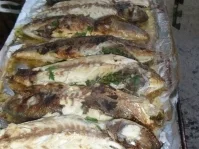 Fisch-Dorade gegrillt - Rezept - Bild Nr. 4