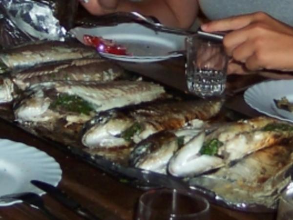 Fisch Dorade gegrillt - einfach - von Tischdeckentante
