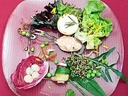 Canapé mit Ziegen-Käse u. Palmherzen in geräucherter Entenbrust - Rezept