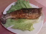 Rezept: Gefรผllte Regenbogenforelle mit Krรคutern Gefรผllte Regenbogenforelle mit Krรคutern - Rezept