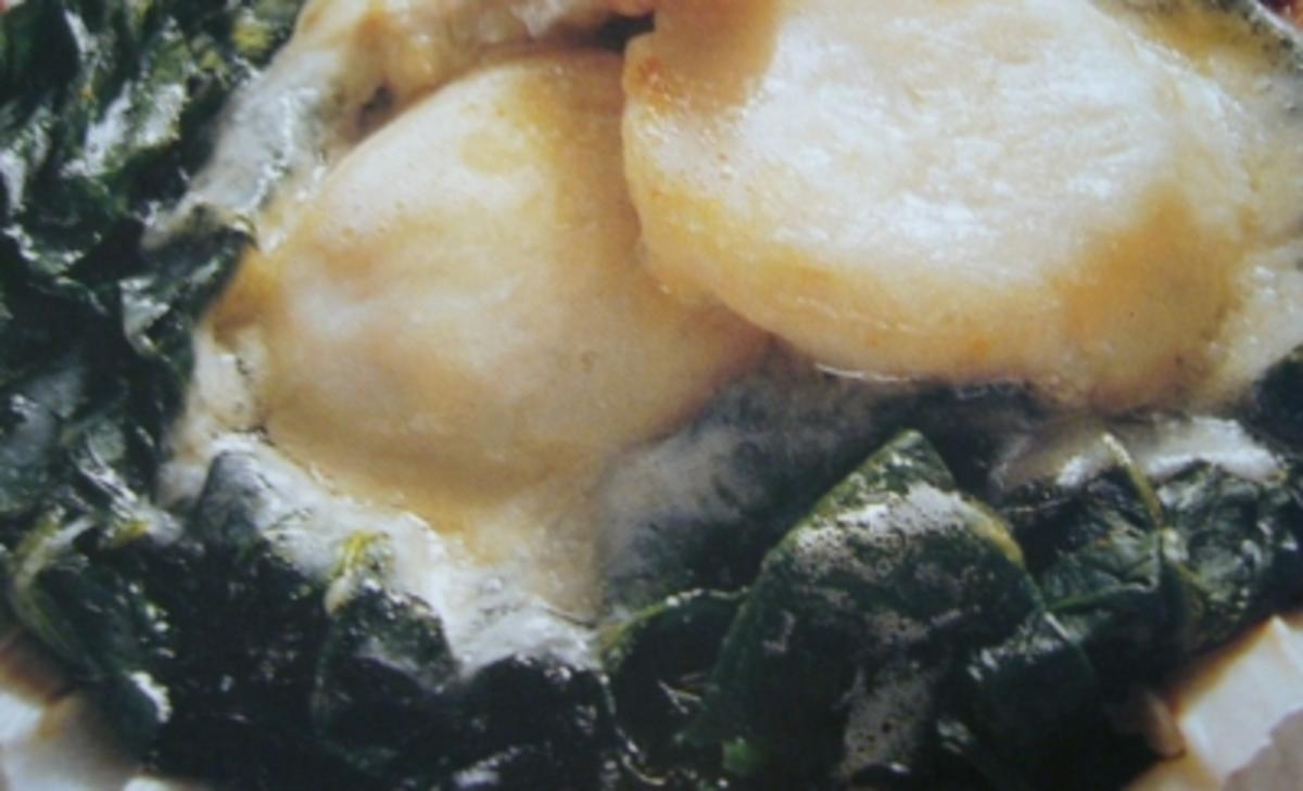 Fisch --- Jakobsmuscheln überbacken mit Champagnersauce und ...