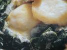 Fisch --- Jakobsmuscheln überbacken mit Champagnersauce und Pyrenäenkäse - Rezept