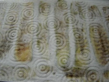 GORGONZOLACRÈME-RÖLLCHEN - Rezept - Bild Nr. 5