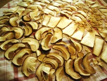 Steinpilze trocknen ... - Rezept - Bild Nr. 5