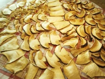 Steinpilze trocknen ... - Rezept - Bild Nr. 4