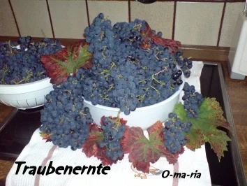 Eingemachtes  Wein-Trauben -Gelee - Rezept - Bild Nr. 2
