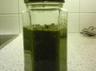 Pesto Genovese - Rezept