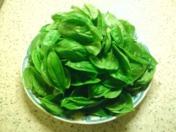 Rezept: Pesto Genovese Bild Nr. 2 Pesto Genovese - Rezept - Bild Nr. 2