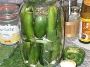 eingelegte in 24 Stunden Gurken - Rezept