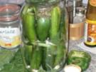 eingelegte in 24 Stunden Gurken - Rezept