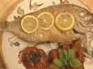 Gegrillte Dorade mit Ratatouille - Rezept - Bild Nr. 16