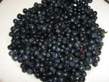 Slatko aus Blaubeeren - Rezept - Bild Nr. 2