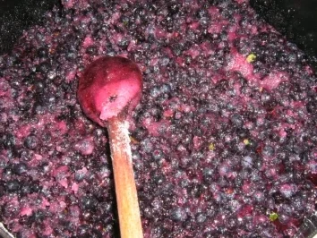 Slatko aus Blaubeeren - Rezept - Bild Nr. 3