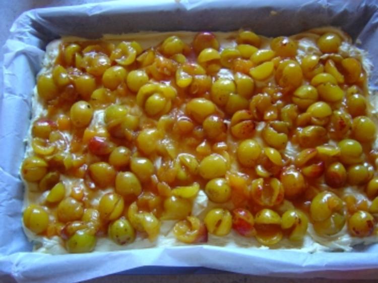Mirabellen Blechkuchen mit Haselnußstreusel und Aprikosenmarmelade ...