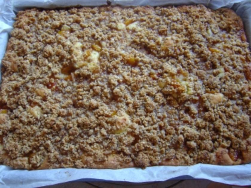 Mirabellen Blechkuchen mit Haselnußstreusel und Aprikosenmarmelade ... Mirabellen Blechkuchen mit Haselnußstreusel und Aprikosenmarmelade ...