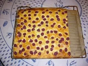 Kirsch-Nuss-Kuchen - Rezept