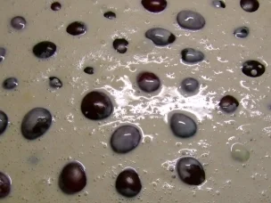 Rezept: Kuchen: Pflaumenkuchen mit Zimt Schmand Bild Nr. 4 Kuchen: Pflaumenkuchen mit Zimt Schmand - Rezept - Bild Nr. 4