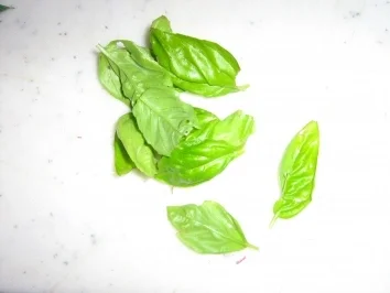 Rezept: Tortellini mit Tomaten-Gorgonzola-Soße Bild Nr. 4 Tortellini mit Tomaten-Gorgonzola-Soße - Rezept - Bild Nr. 4