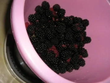 Brombeeren Wein - Rezept - Bild Nr. 3